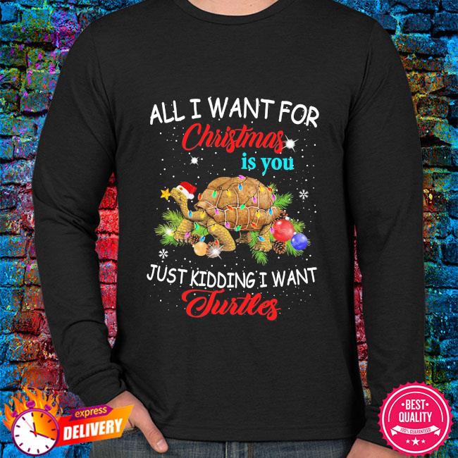 turtle christmas jumper