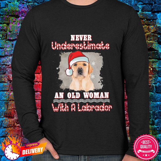 labrador christmas sweater