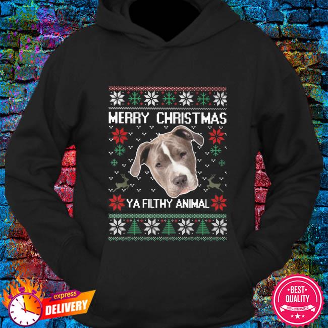 christmas sweaters for pitbulls