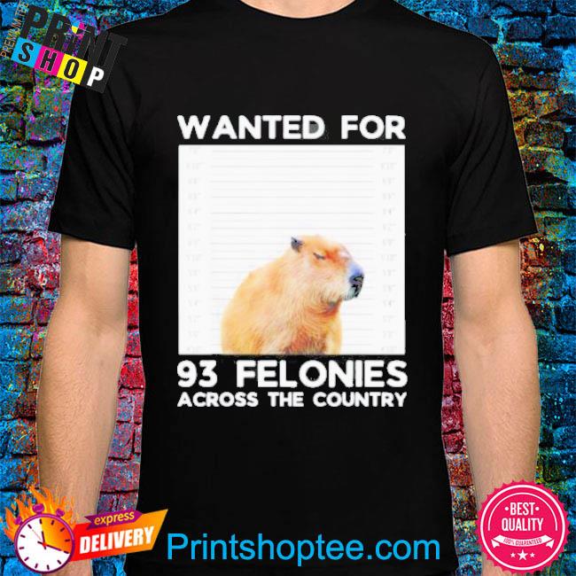 Capybara mugshot wanted for 93 felonies across the country shirt
