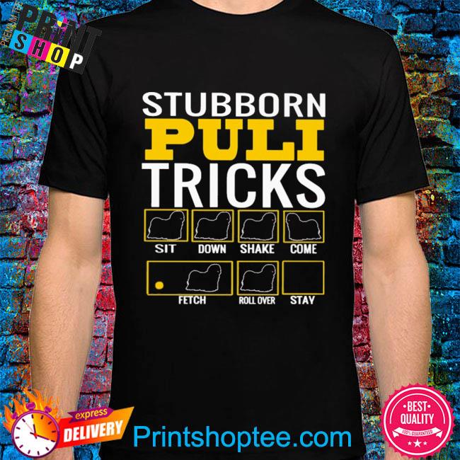 Stubborn puli tricks sit down shake come fetch roll over stay shirt